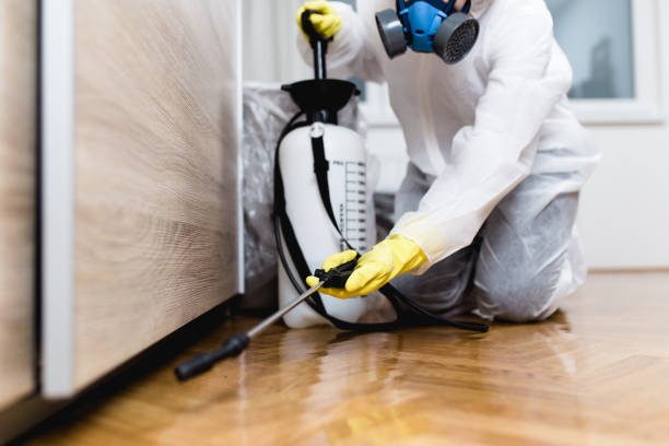 Best Residential Pest Control  in Mayville, WI