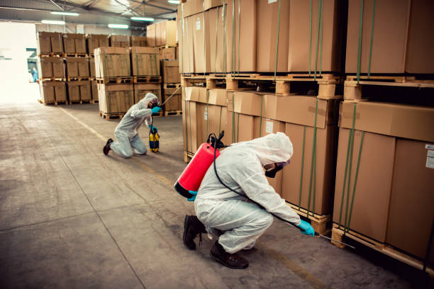 Best Flea Control Services  in Mayville, WI