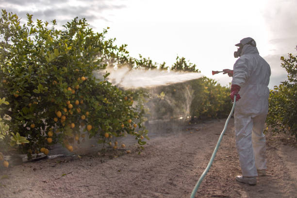 Best Pest Control for Restaurants  in Mayville, WI