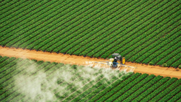 Best Pest Prevention Services  in Mayville, WI