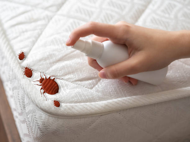 Trusted Mayville, WI Pest Control Experts