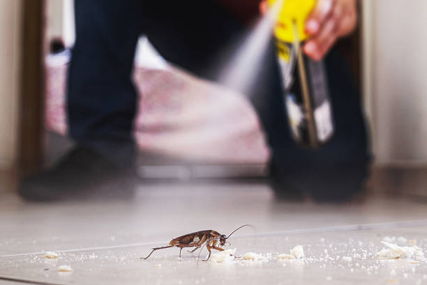 Best Exterminator Services  in Mayville, WI