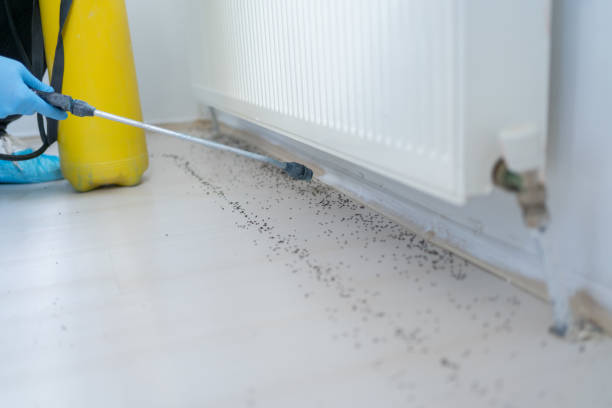Best Pest Control Near Me  in Mayville, WI