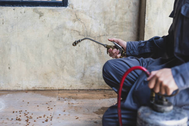 Best Best Pest Control Companies  in Mayville, WI