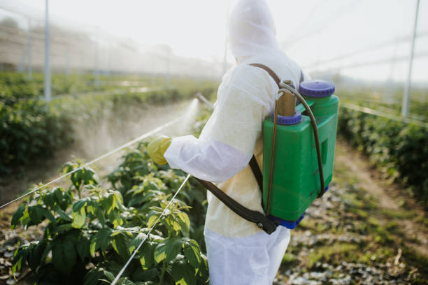Best Bed Bug Extermination  in Mayville, WI